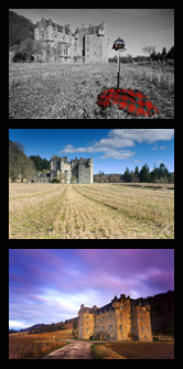 Photography Commissions
