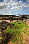 North Berwick Shore