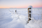 Winter Snow Sunset